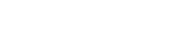 C. Demirel signature